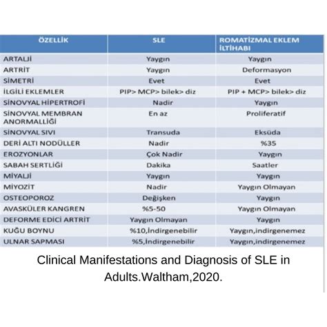 Lupus Pozitif (SLE) Teşhis ve Tanı Yöntemleri