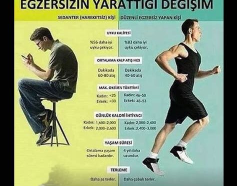 Düzenli Egzersizin Faydaları