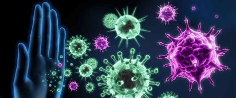 Bağışıklık Sistemi Nasıl Güçlendirilir? İmmün Sistem Tipleri ve Önemi