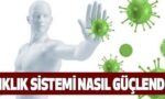 Bağışıklık Sistemi Nasıl Güçlendirilir? Doğal İmmün Takviyeler
