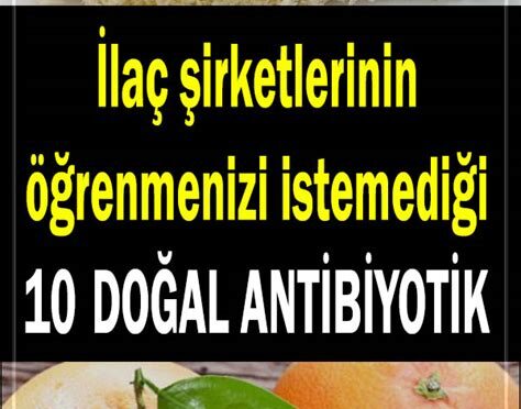 Doğal Antibiyotikler: Hangi Gıdalar En İyi Doğal Antibiyotik Etkisi Gösterir?