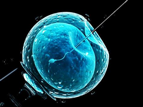 Tekrarlayan Tüp Bebek Başarısızlığının Sebebi Embriyo Kaynaklı Olabilir Mi?