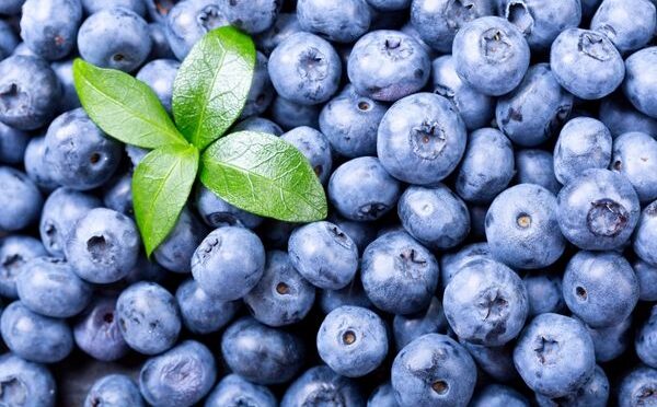 gut-hastaligina-ne-iyi-gelir-10-bitkisel-cozum-8