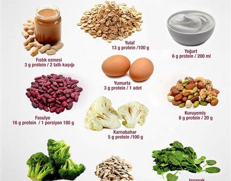 Balık Yemeyen Çocuklar İçin Alternatif Protein Kaynakları