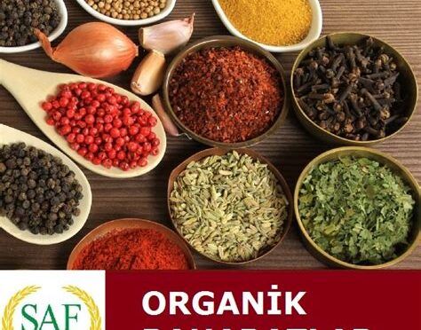 Organik Baharat Markaları Hangileri?